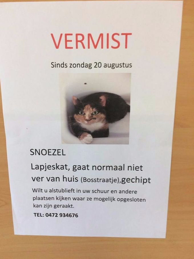 Vermist in Kessenich sinds 20/08/2017